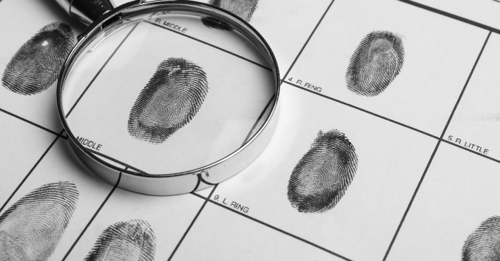 Forensic Investigations7